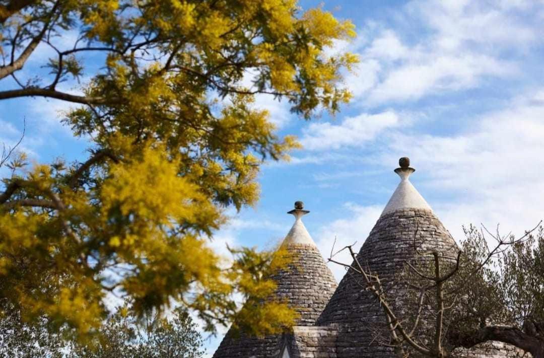 Trulli Azzalema With Exclusive Pool Villa Brindisi Kültér fotó